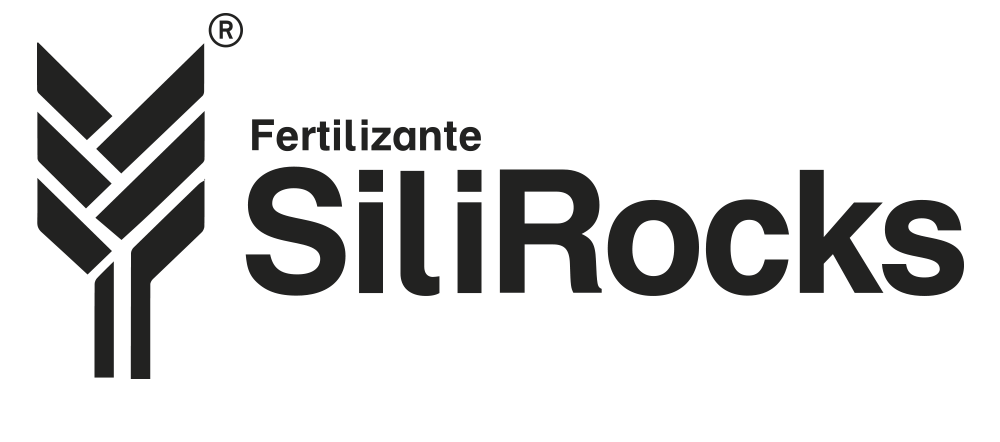 Silli Rocks